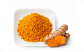 Turmeric Root Extract