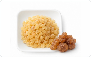 Boswellia Serrata Extract